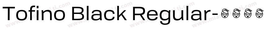 Tofino Black Regular字体转换